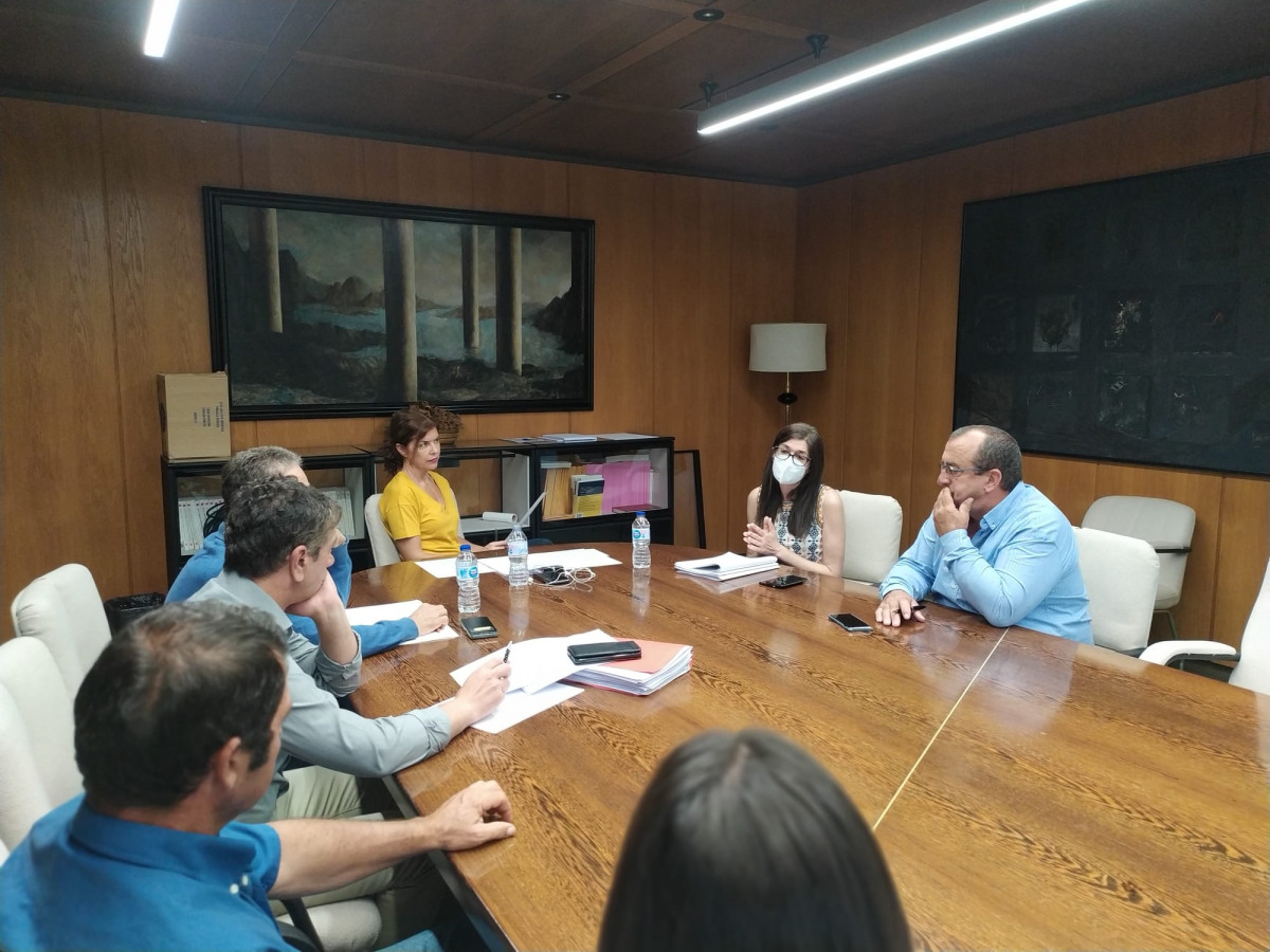 Delegada reunida con las OPAS incendios  (2)