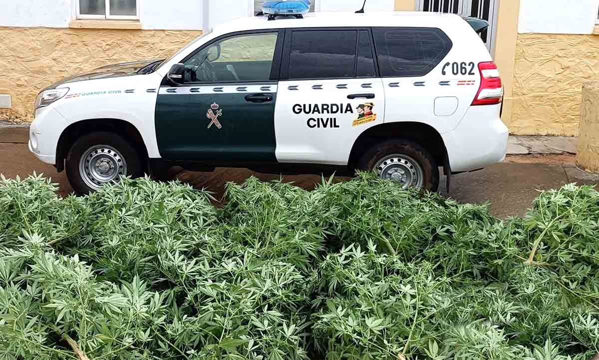 Marihuana guardia civil