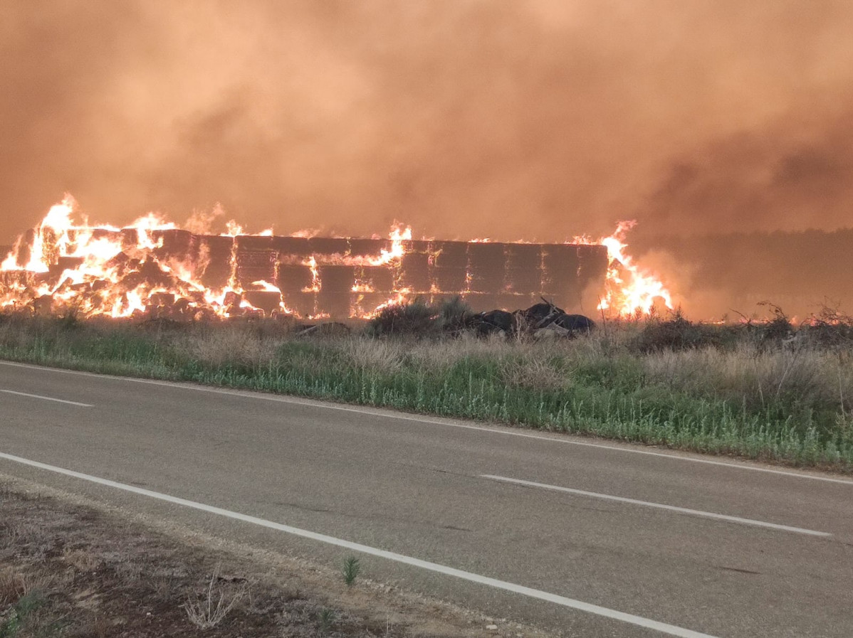 Incendio ganaderu00eda