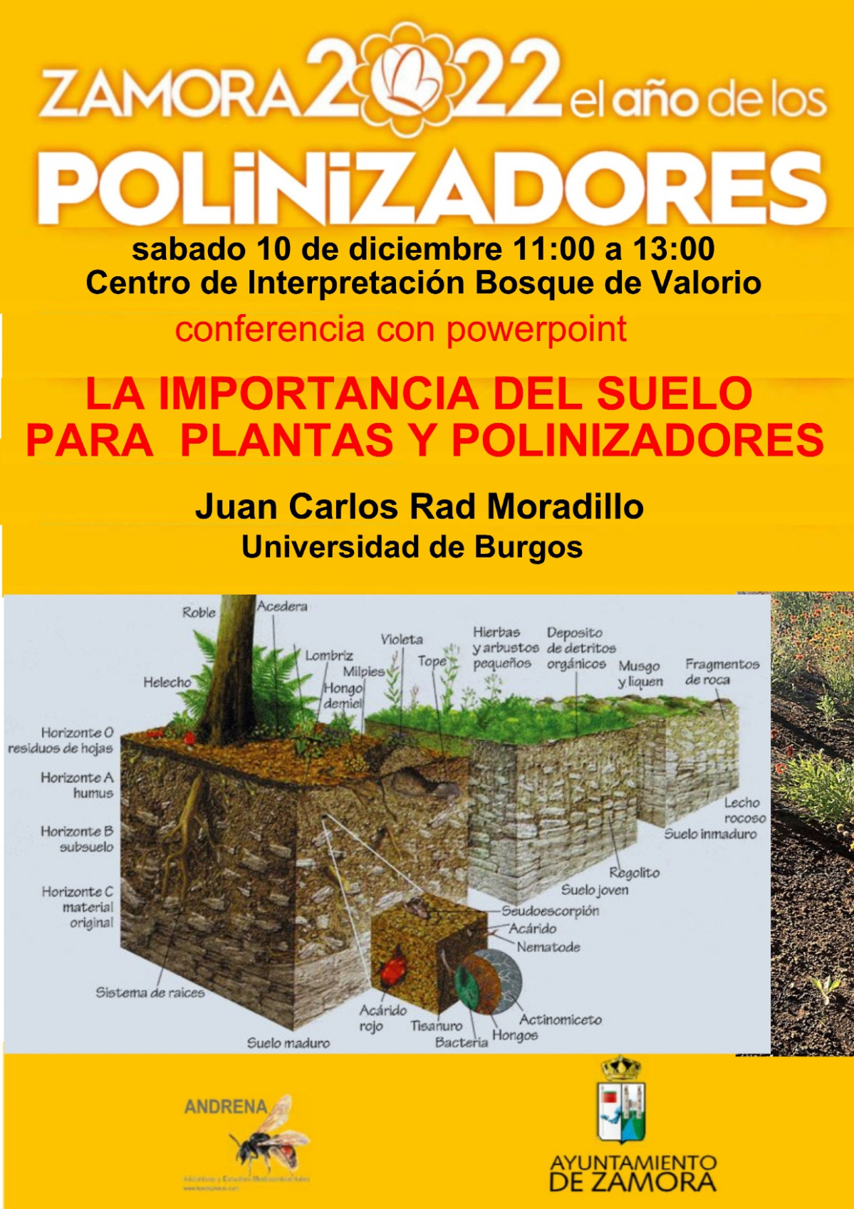 Cartel Polinizadores