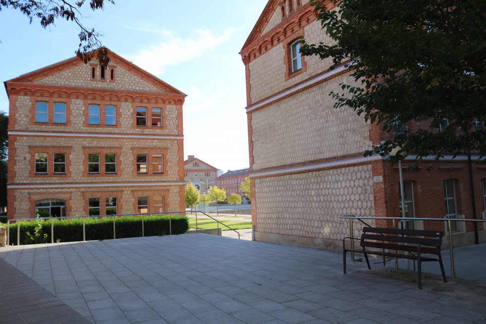 Campus Viriato (2)