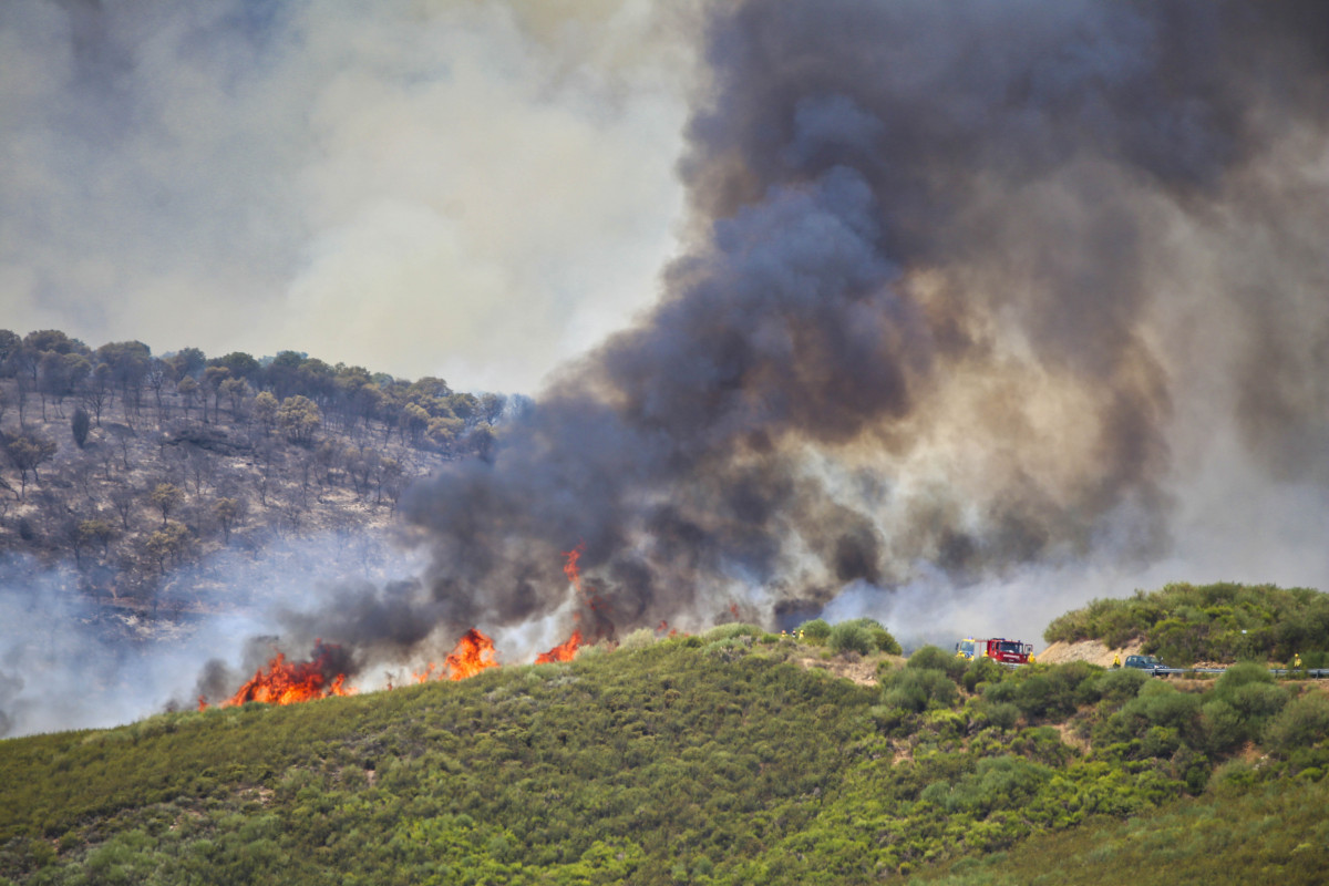 J.L. Leal  ICAL . Incendio en Figueruela de Arriba, en la Sierra de la Culebra