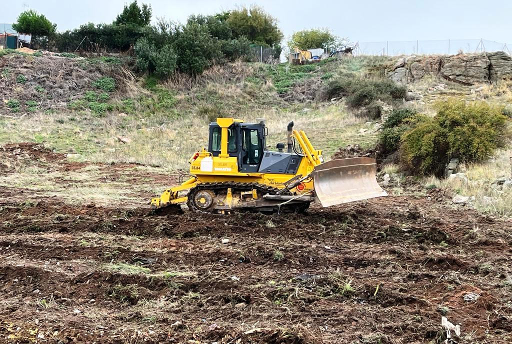 Obras de reforestación 2