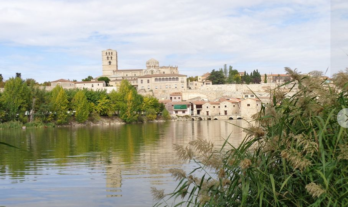 Zamora2