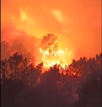 Incendio Ávila