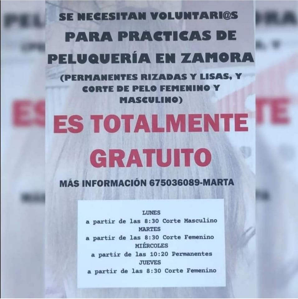 Peluqueria2