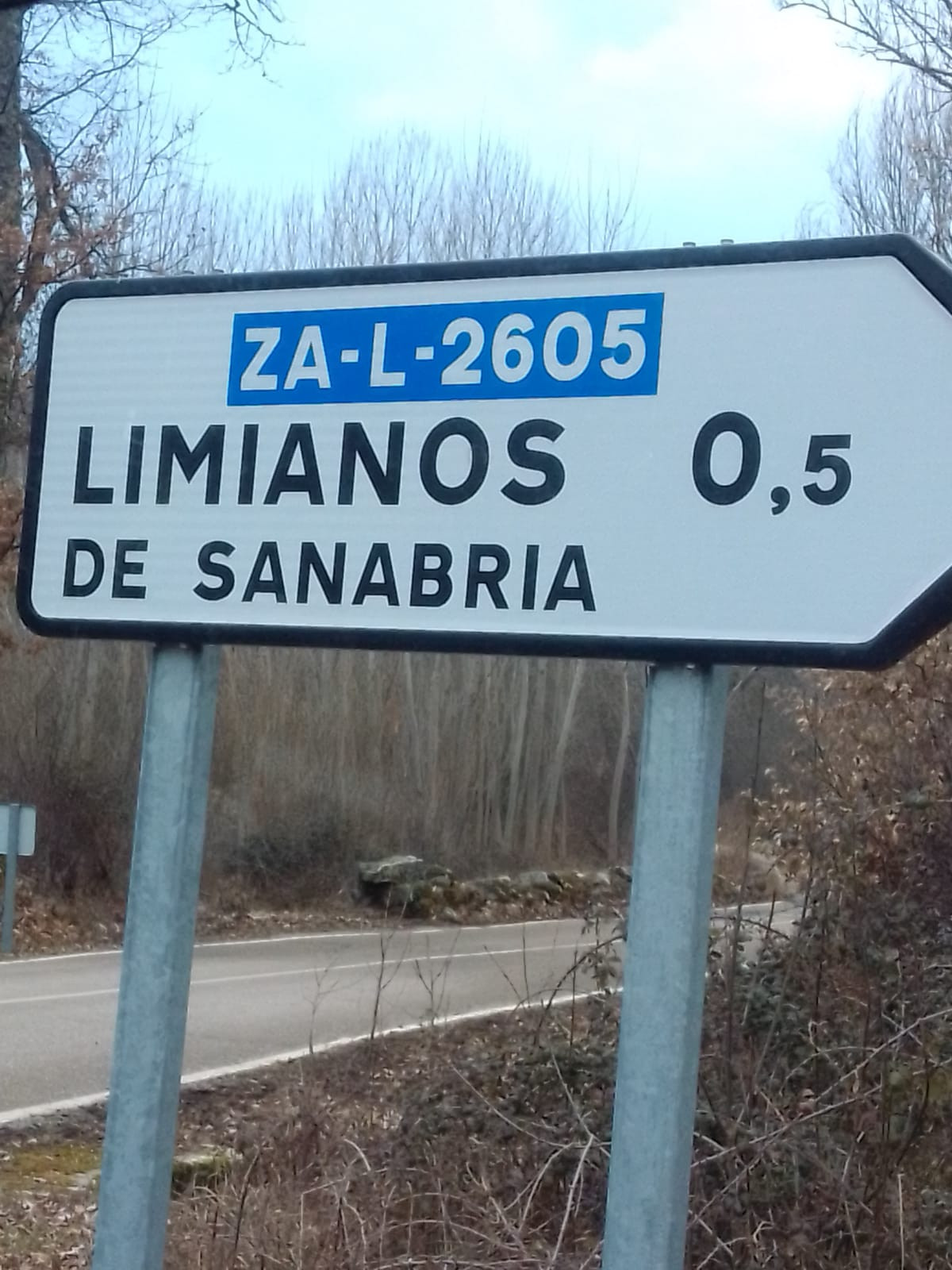 Limianos de Sanabria