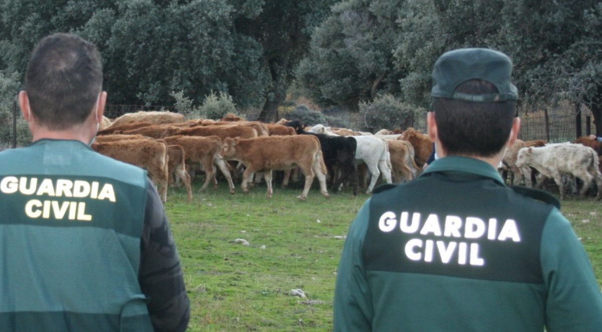 Guardia Civil