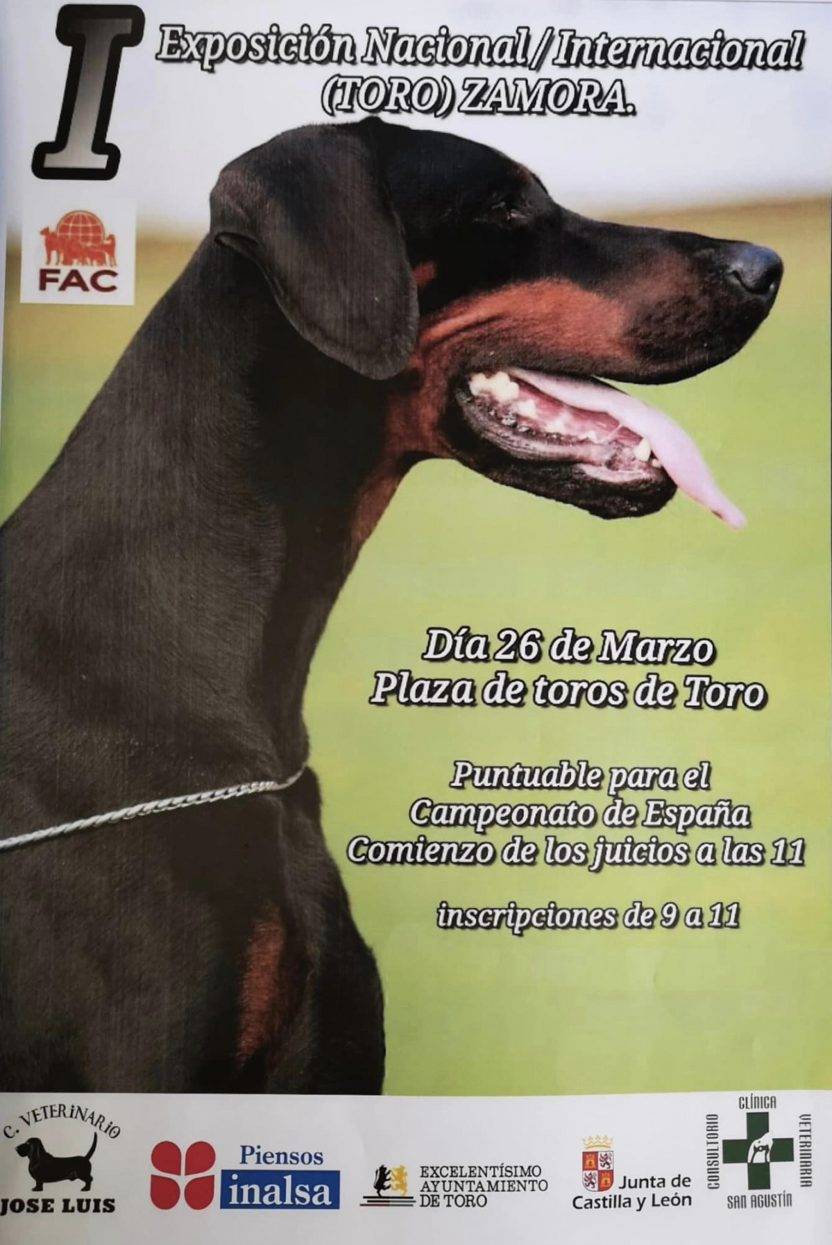 Exposiciu00f3n Nacional Belleza Canina en Toro