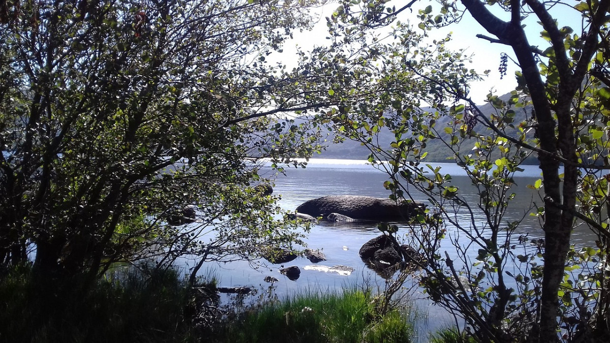 Lago de Sanabria