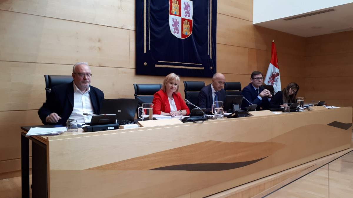 Delegada durante comparecencia en la Comisiu00f3n de la Presidencia en la Cortes de Castilla y Leu00f3n