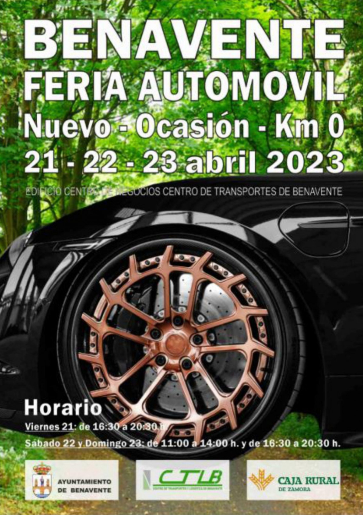 Feria Automu00f3vil Benavente