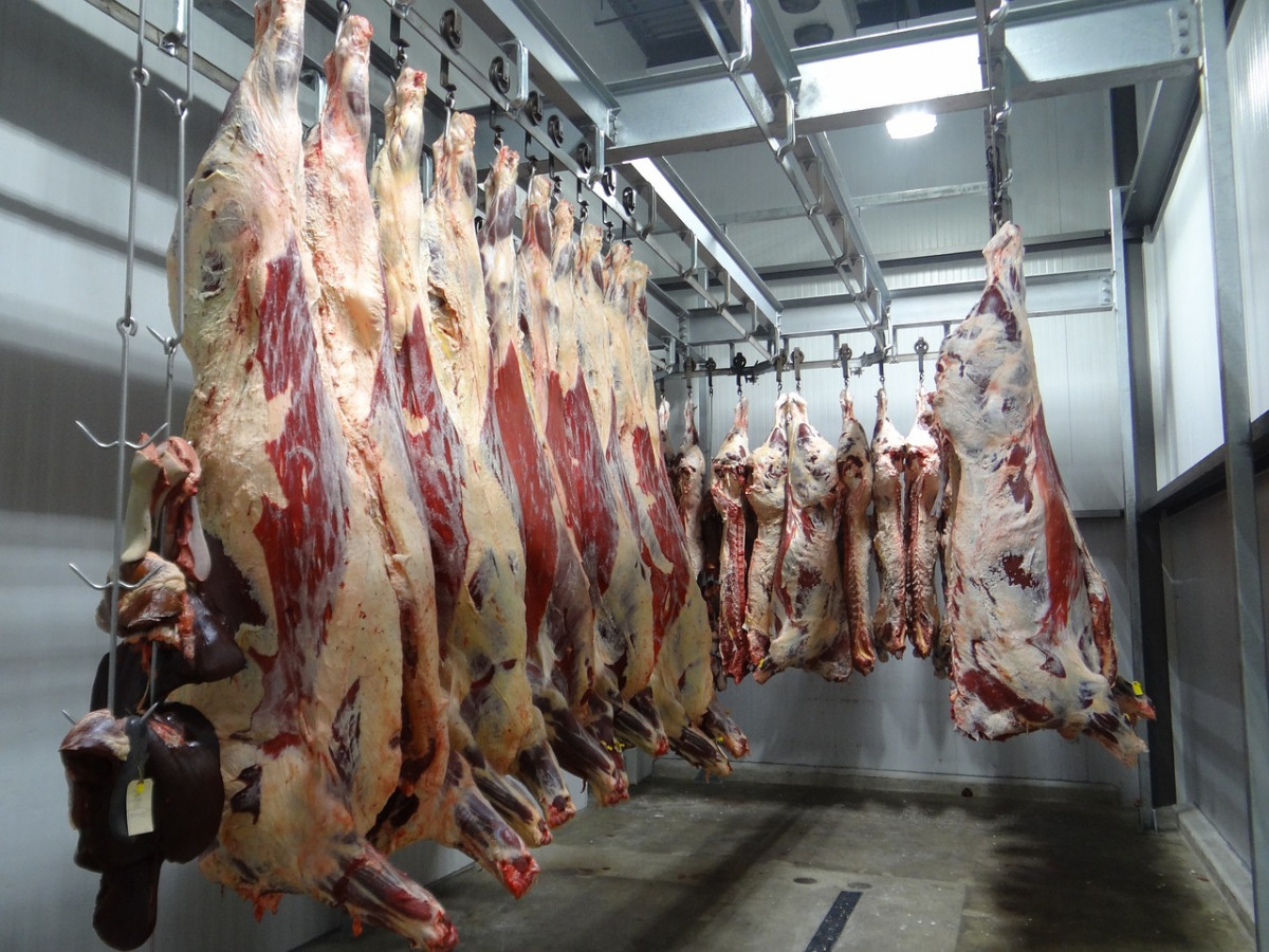 Beef g44ac44594 1280