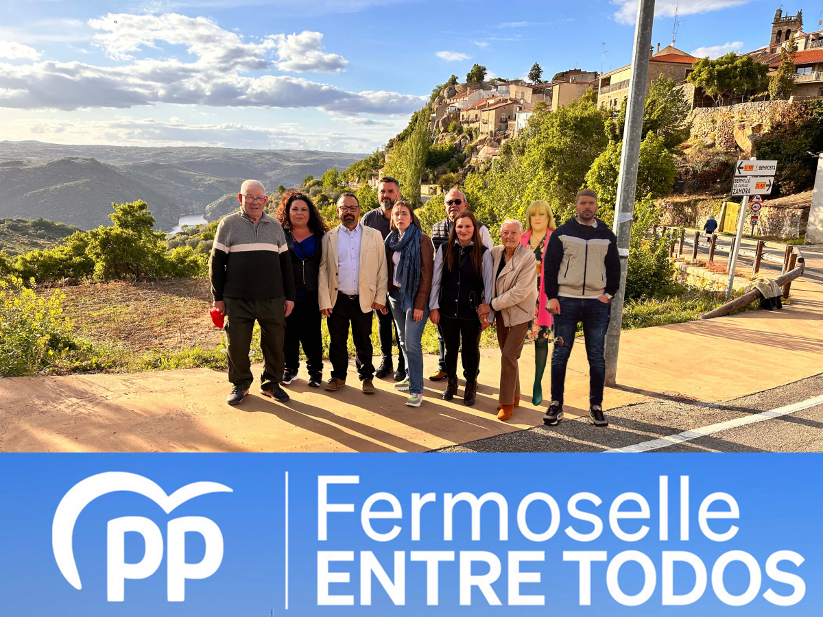 Candidatura23ppFermoselle