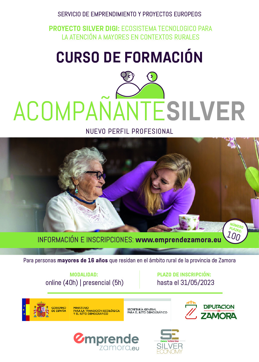 Cartel Curso Acompau00f1ante Silver