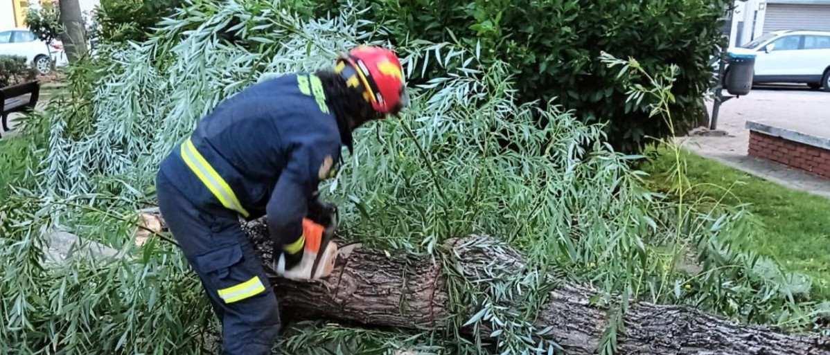 Rama bomberos Toro