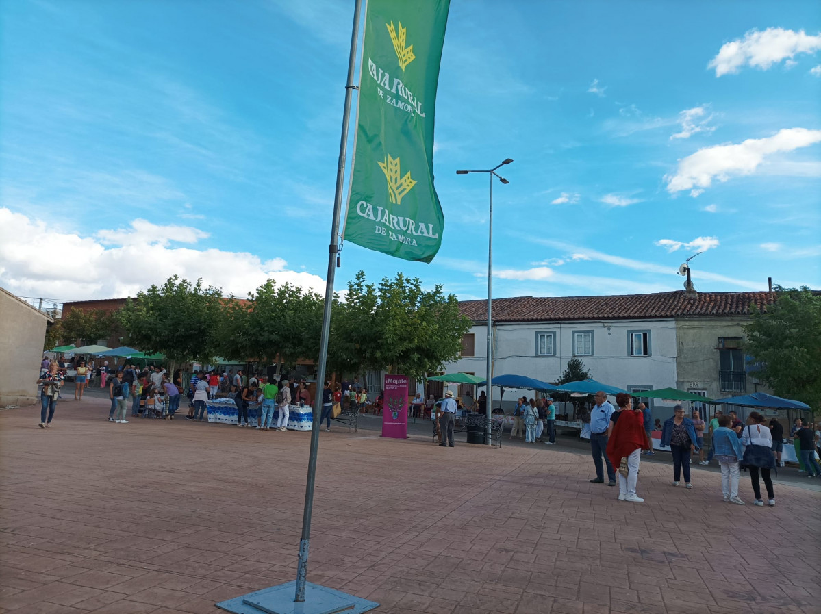 Mercadillo Solidario El Pego 11
