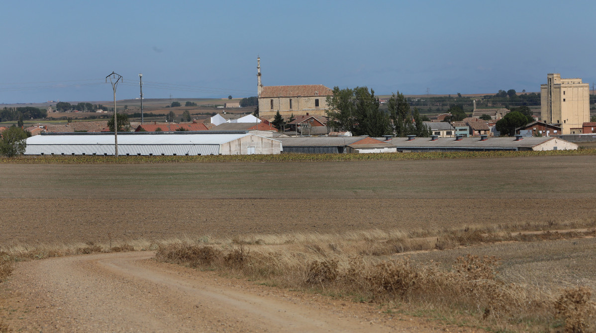 Granja amusco