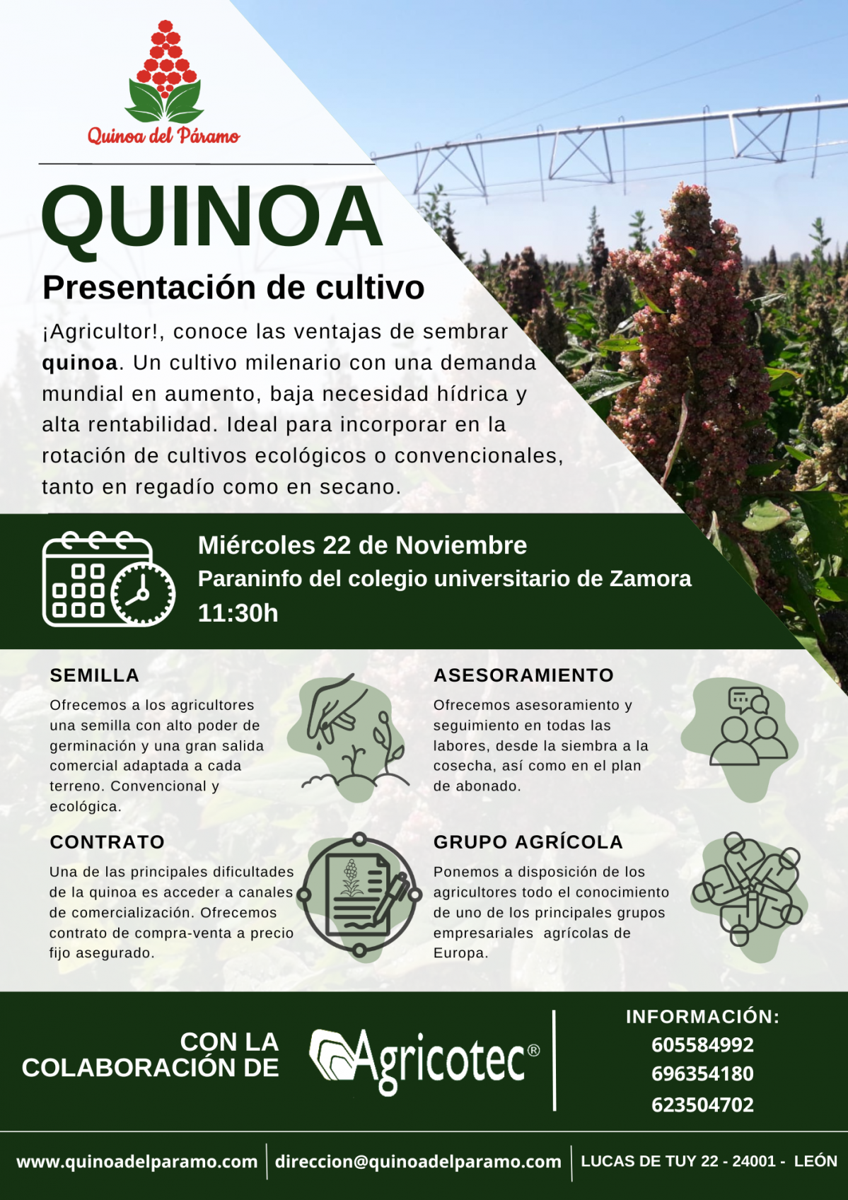 QUINOA ZAMORA