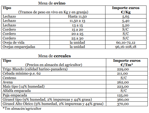 Lonja de Zamora 2