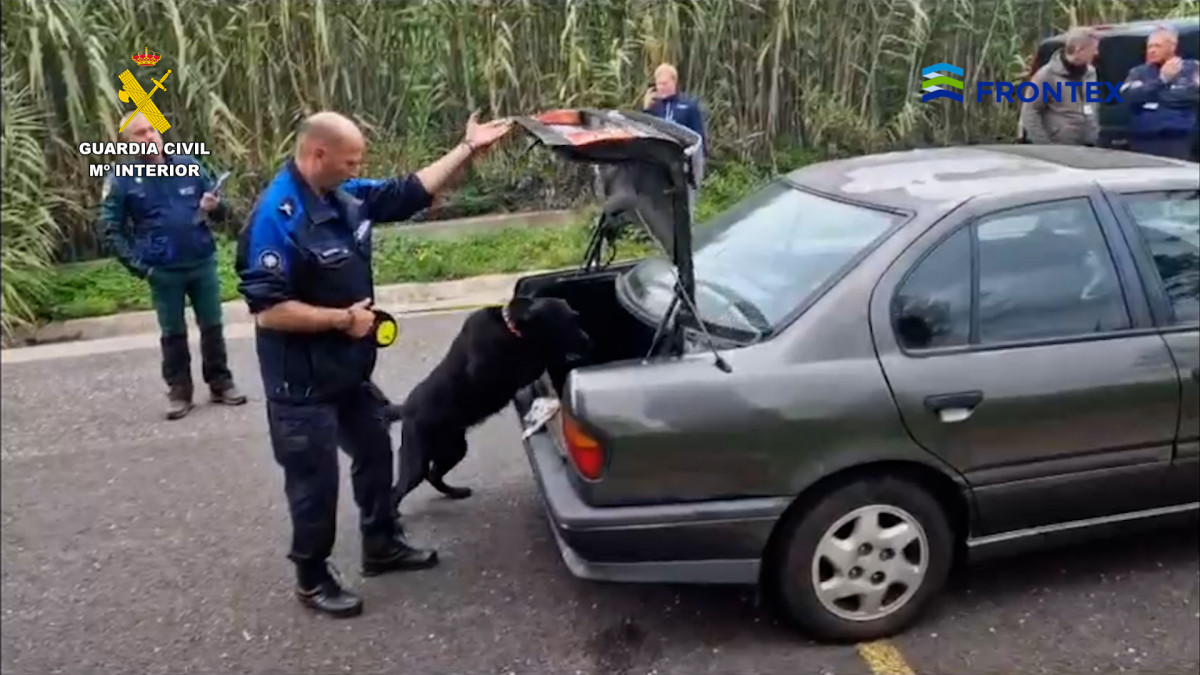 Frontex adiestramiento perros canino