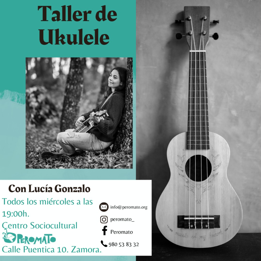 Taller ukelele