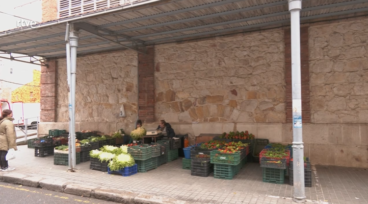 Mercado de Abastos 5