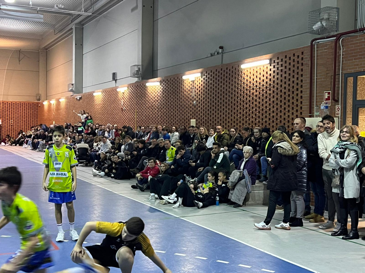 Cantera Balonmano Zamora