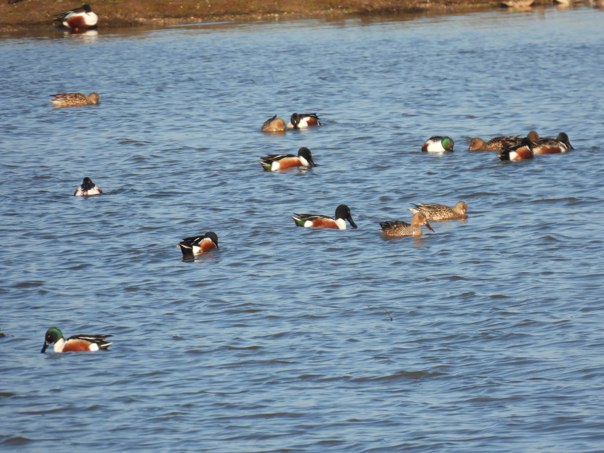 Laguna grande en Villafu00e1fila