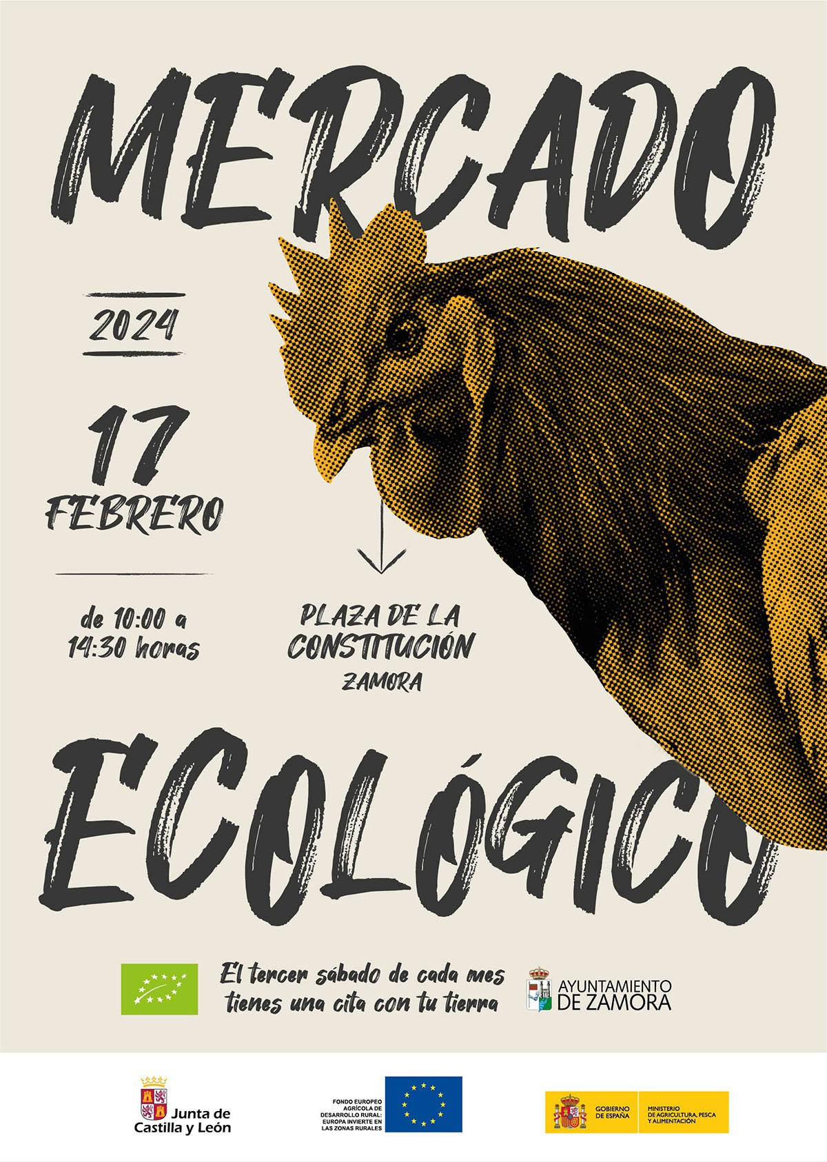  mercado ecologico febrero