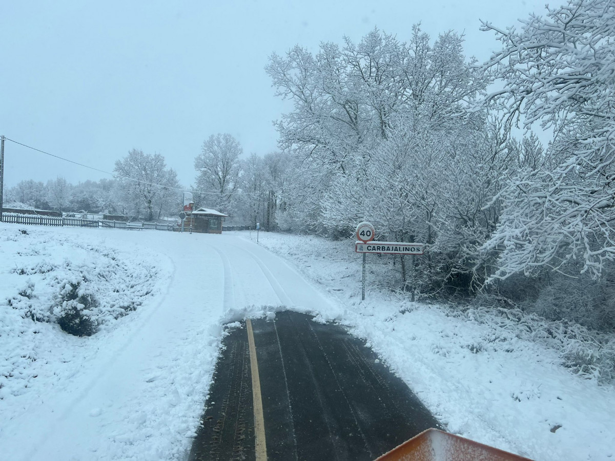 Nieve provincia Zamora 2