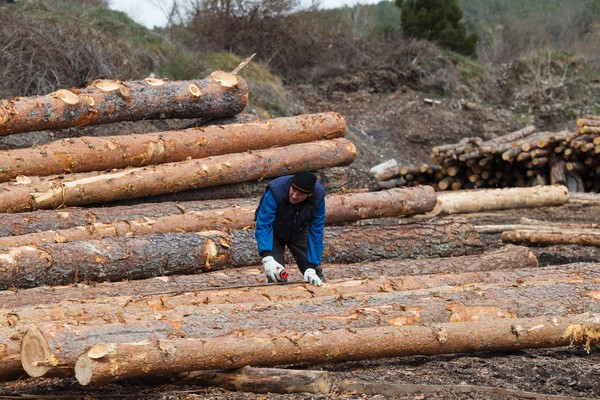 Madera