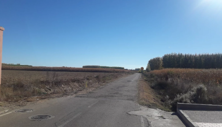 Camino