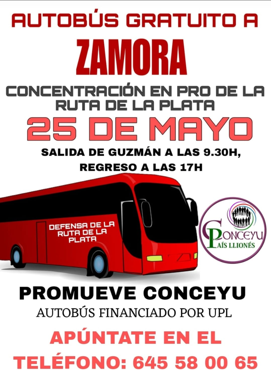 Autobus gratuito a Zamora