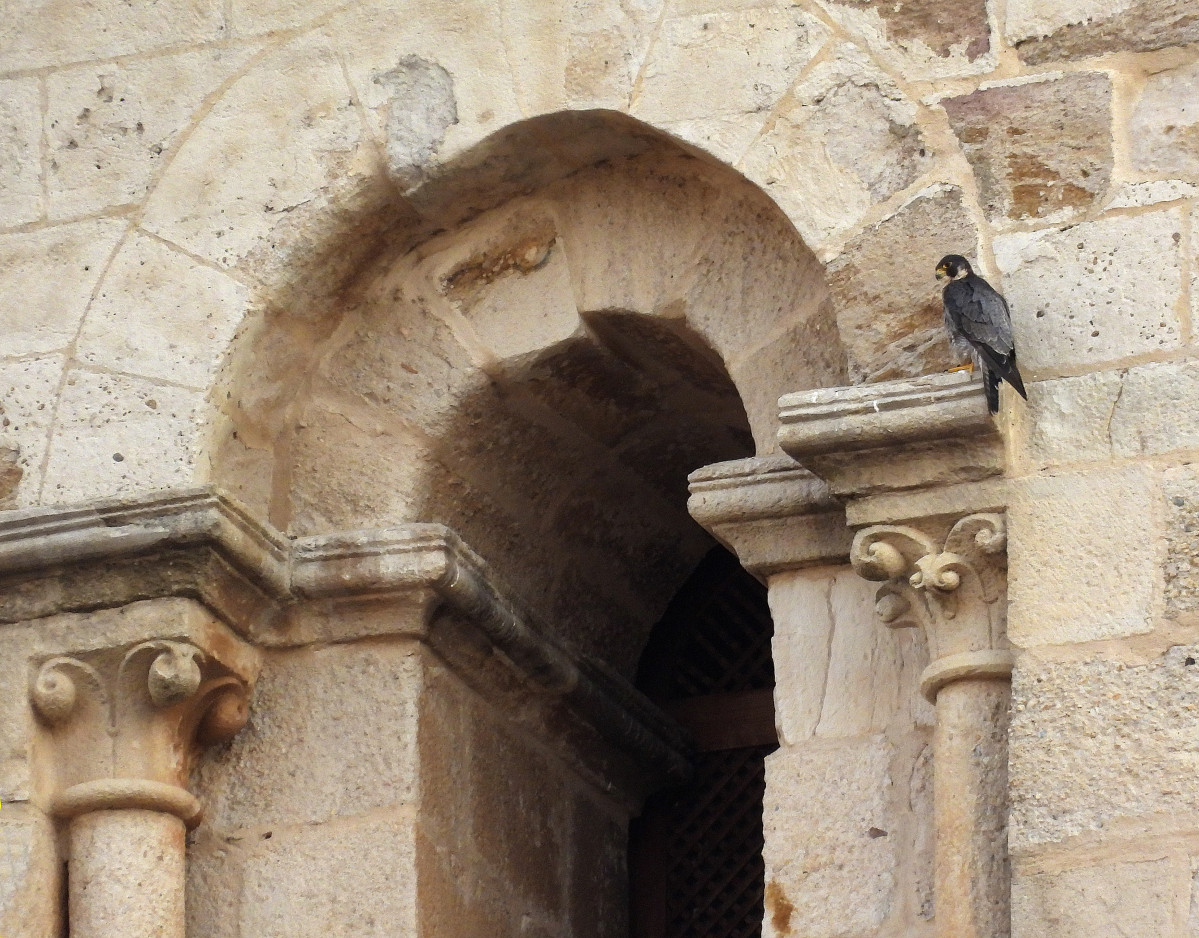 Brisa catedral