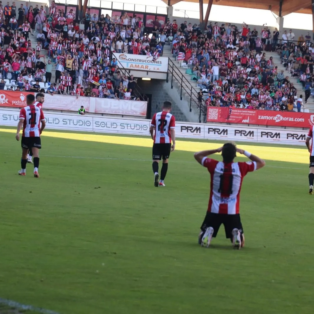 441901853 1181962502774918 9119957121164052332 n