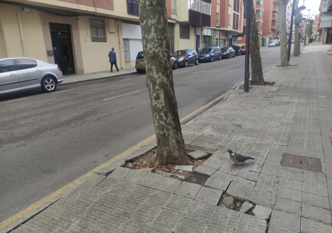 Barrio La Candelaria (2)