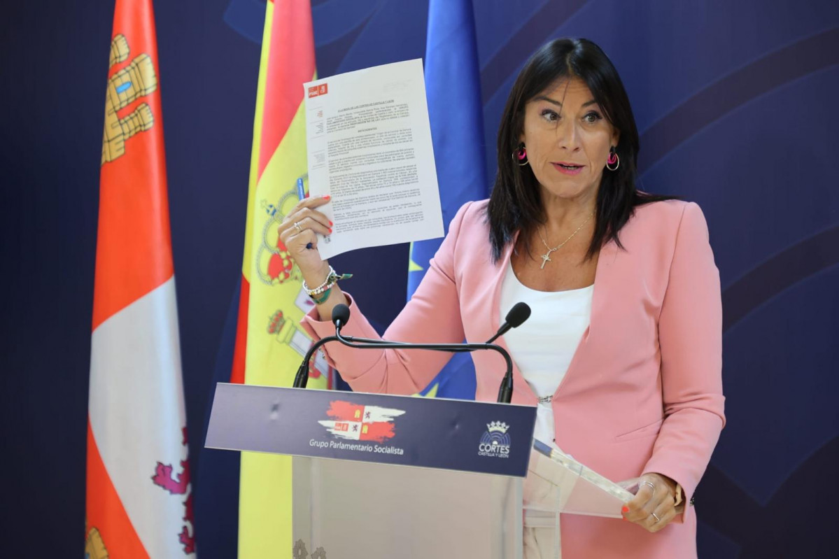Ana Sánchez, secretaria de Organización del PSOE CyL (2)