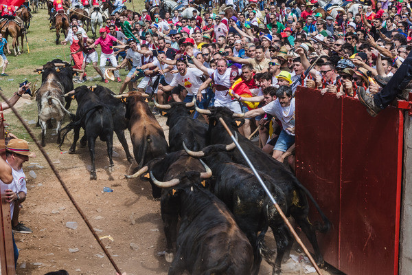 Soria