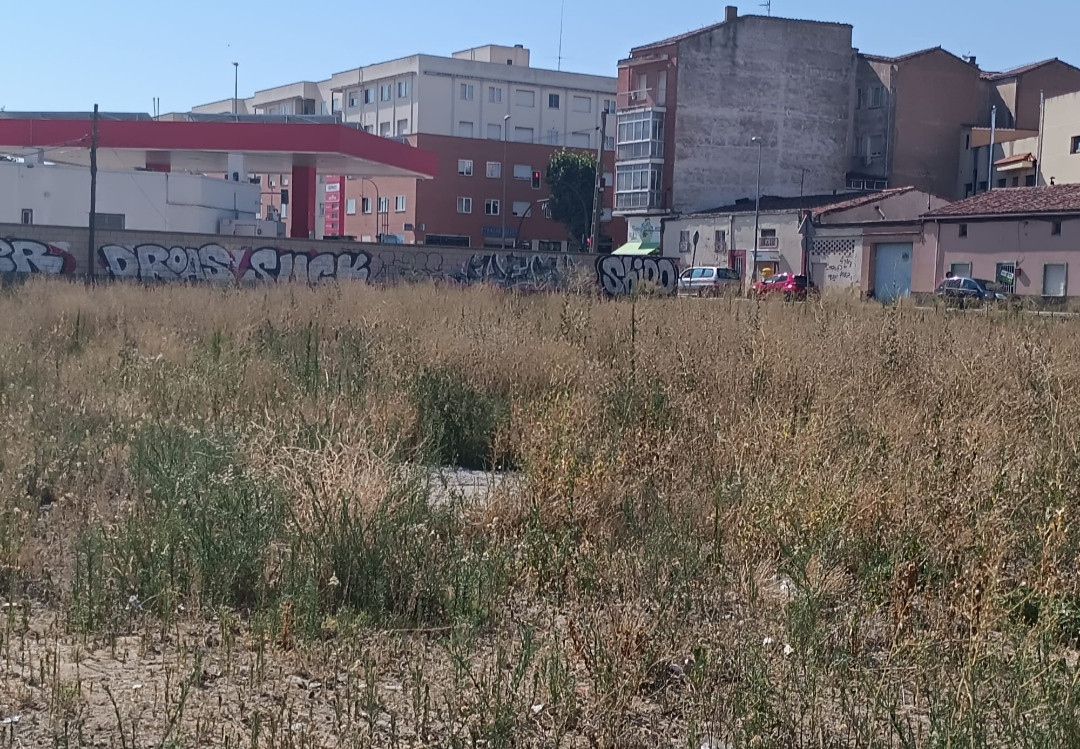 Solares sin desbrozar en Pinilla (julio 2024)