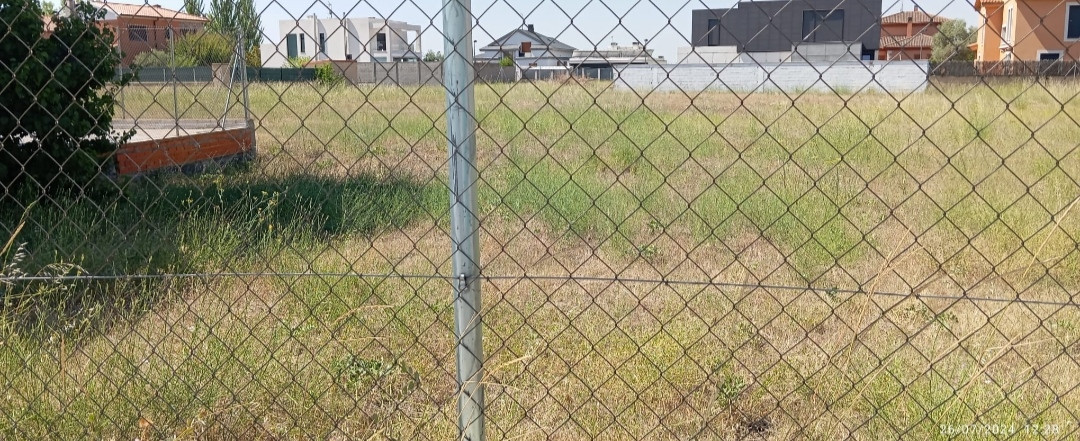 Solares en San Isidro (julio 2024)