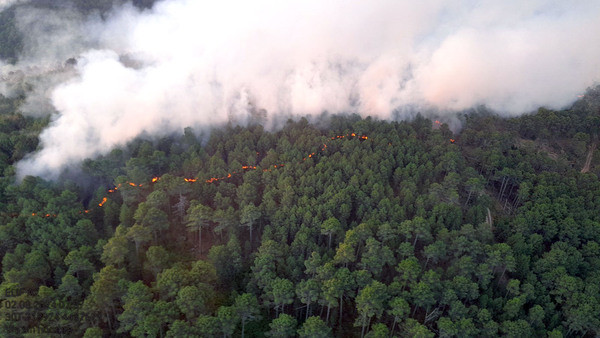 Incendio