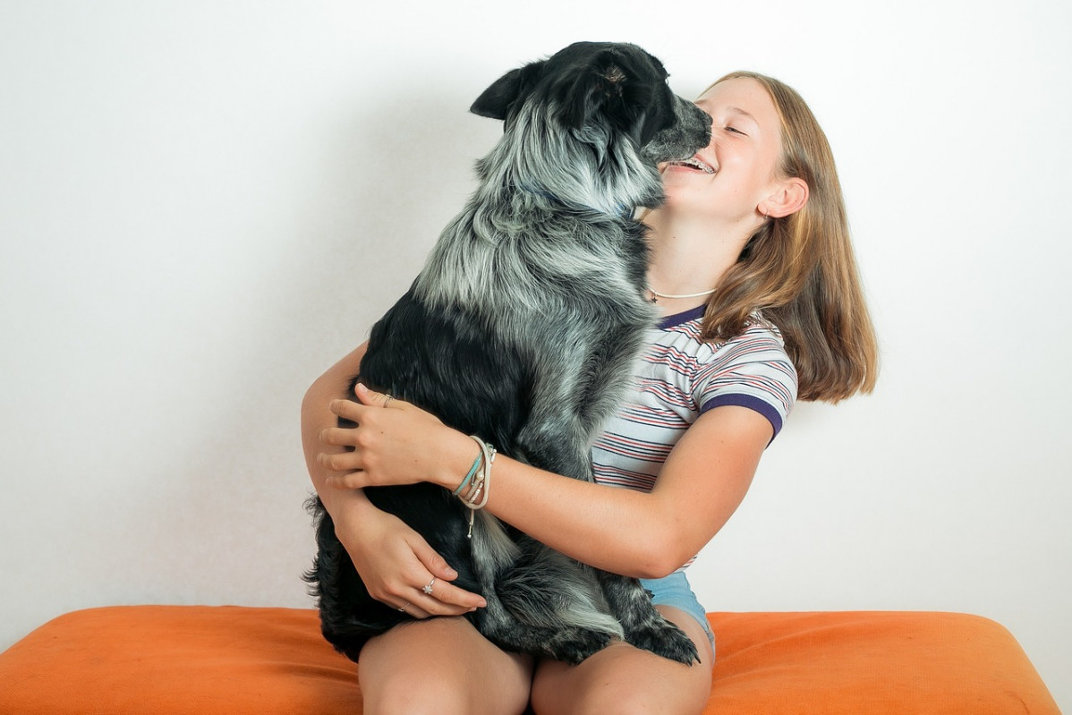 Pet 5054023 1280
