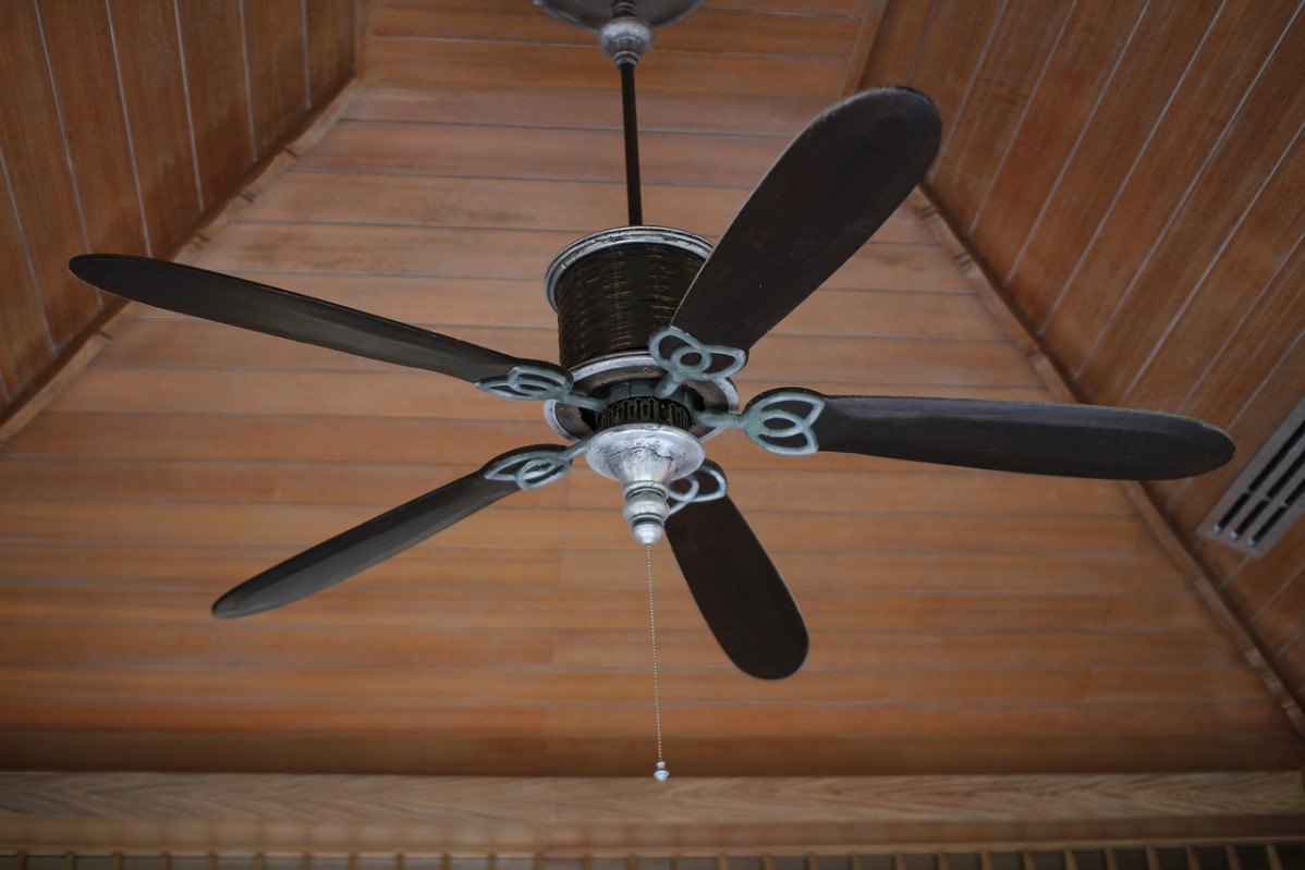 Fan 414575 1280