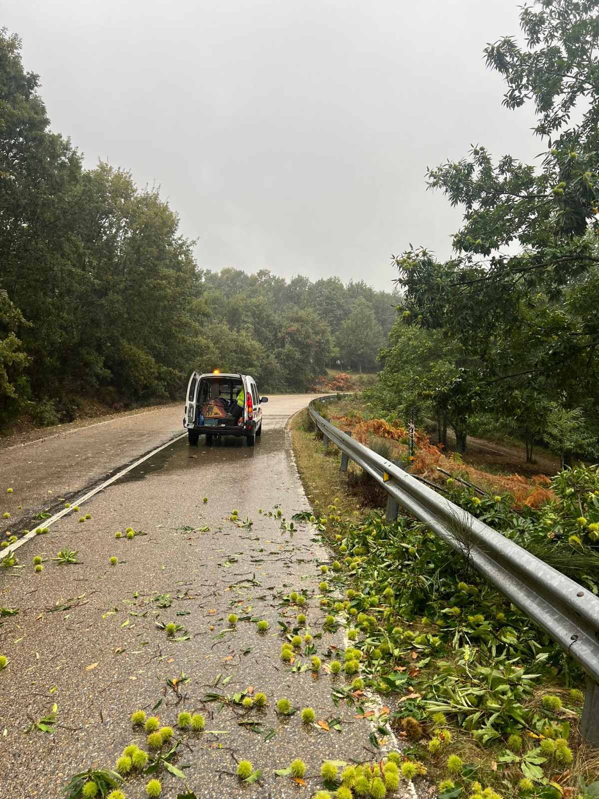 Temporal Zamora