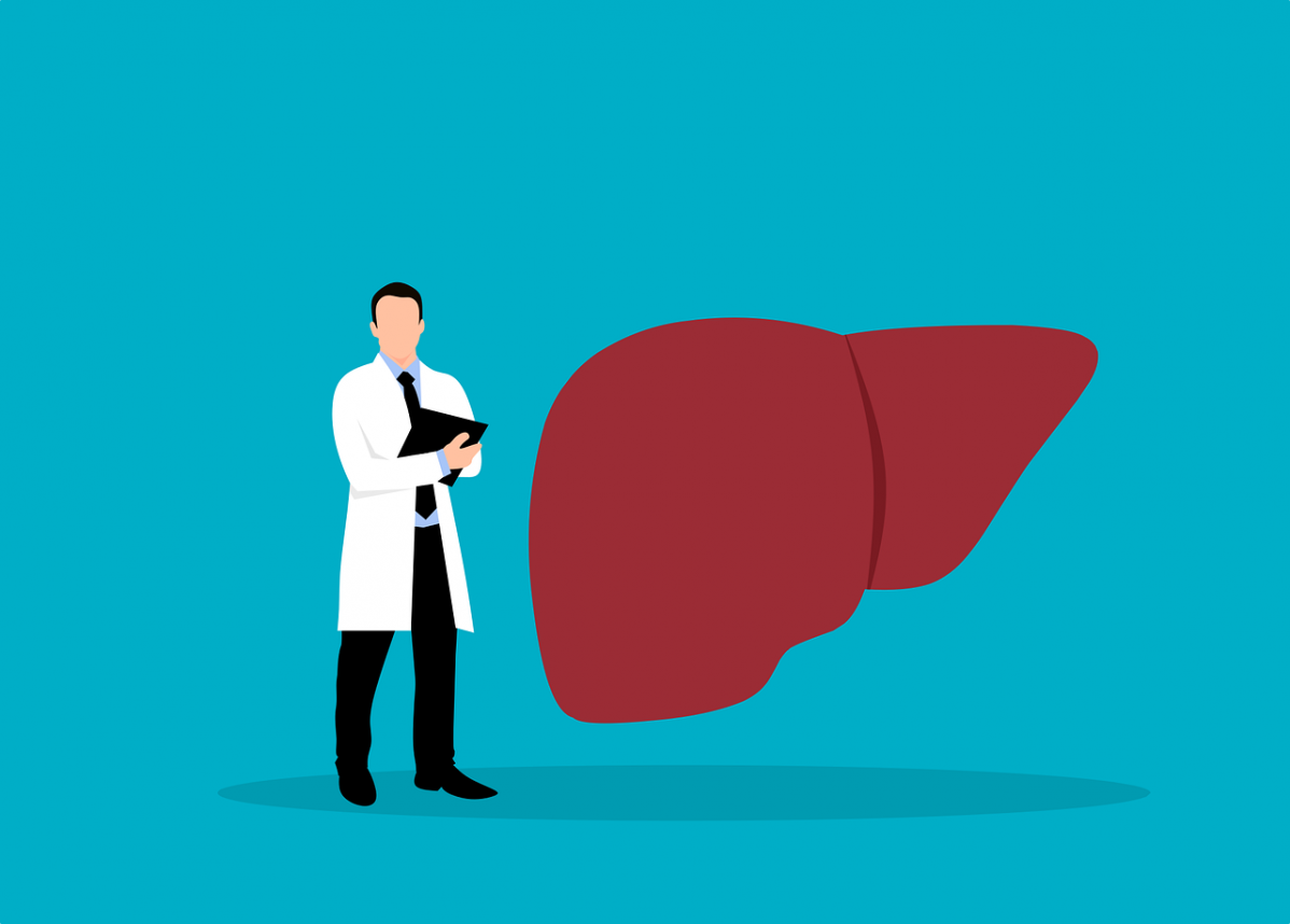 Liver 6685574 1280