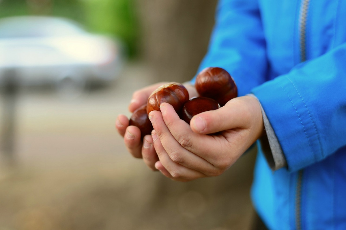 Chestnuts 4505264 1280