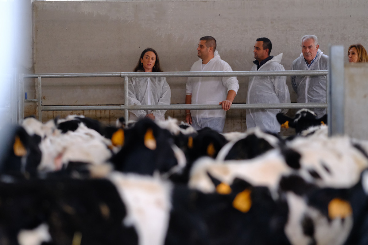 20241105 CONSEJERO AGRICULTURA PRESENTA AYUDAS EXPLOTACIONES GANADERAS 04