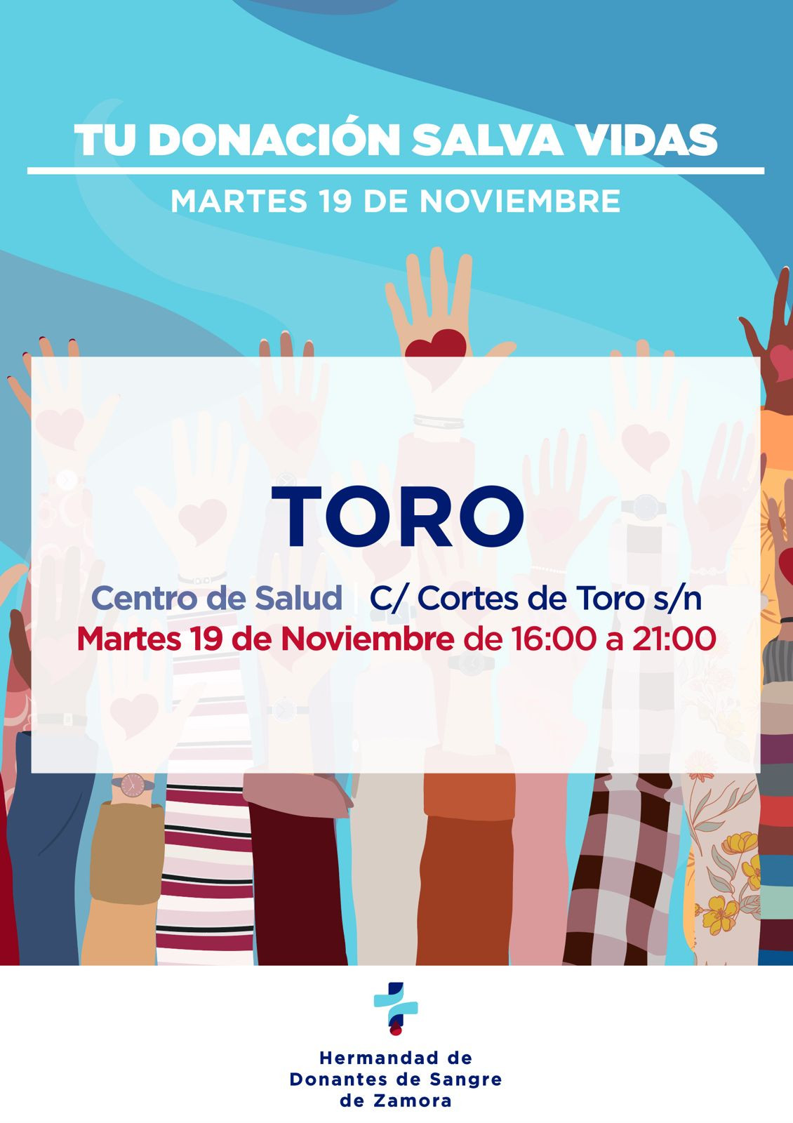 Toro 19 Nov