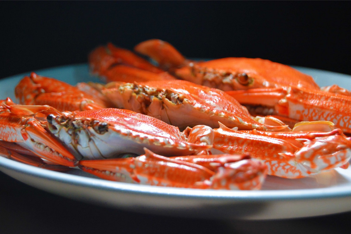 Frozen blue swimming crabs 4782934 1280